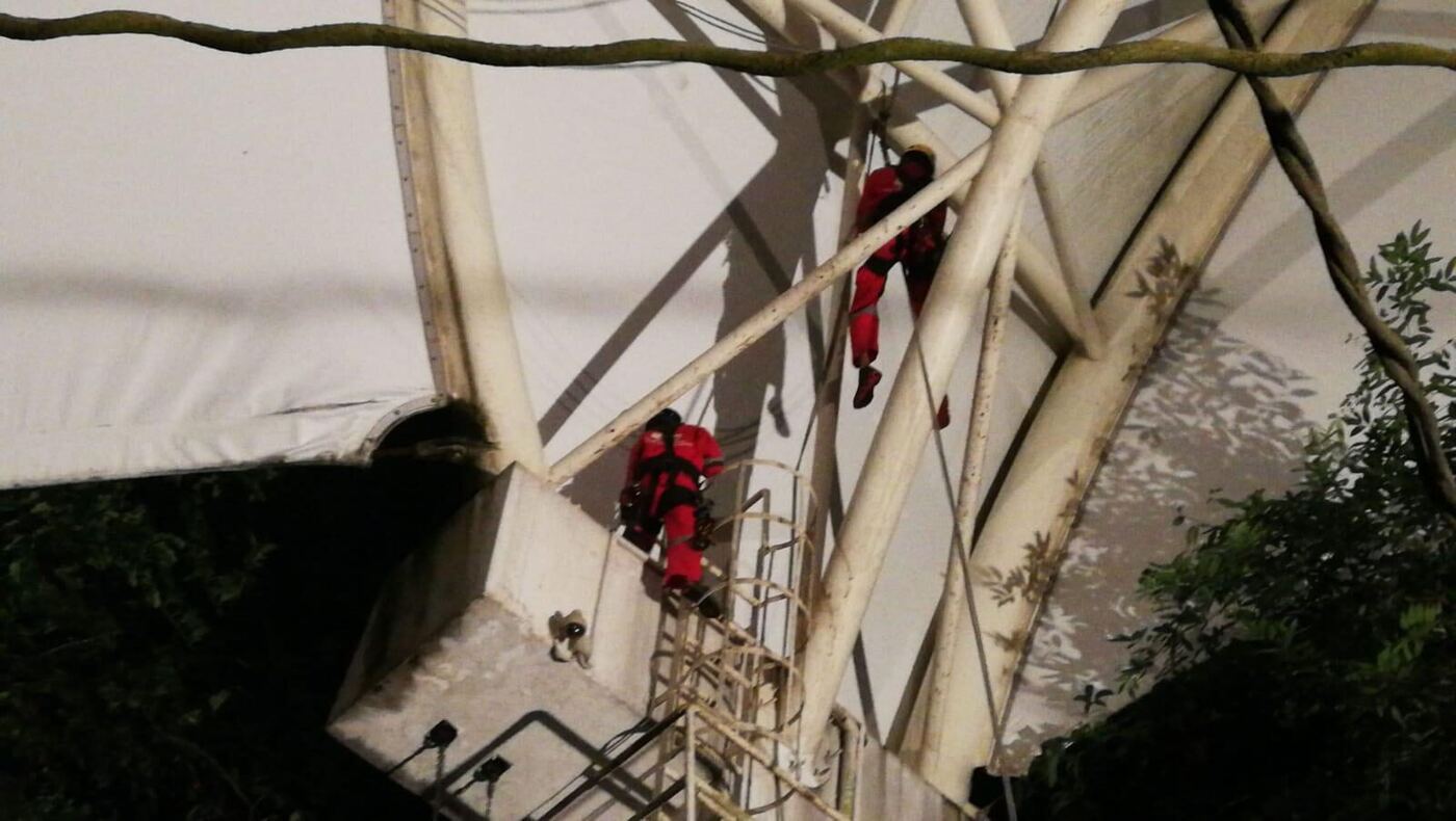 Rope access technician working on a high-level painting job in Singapore